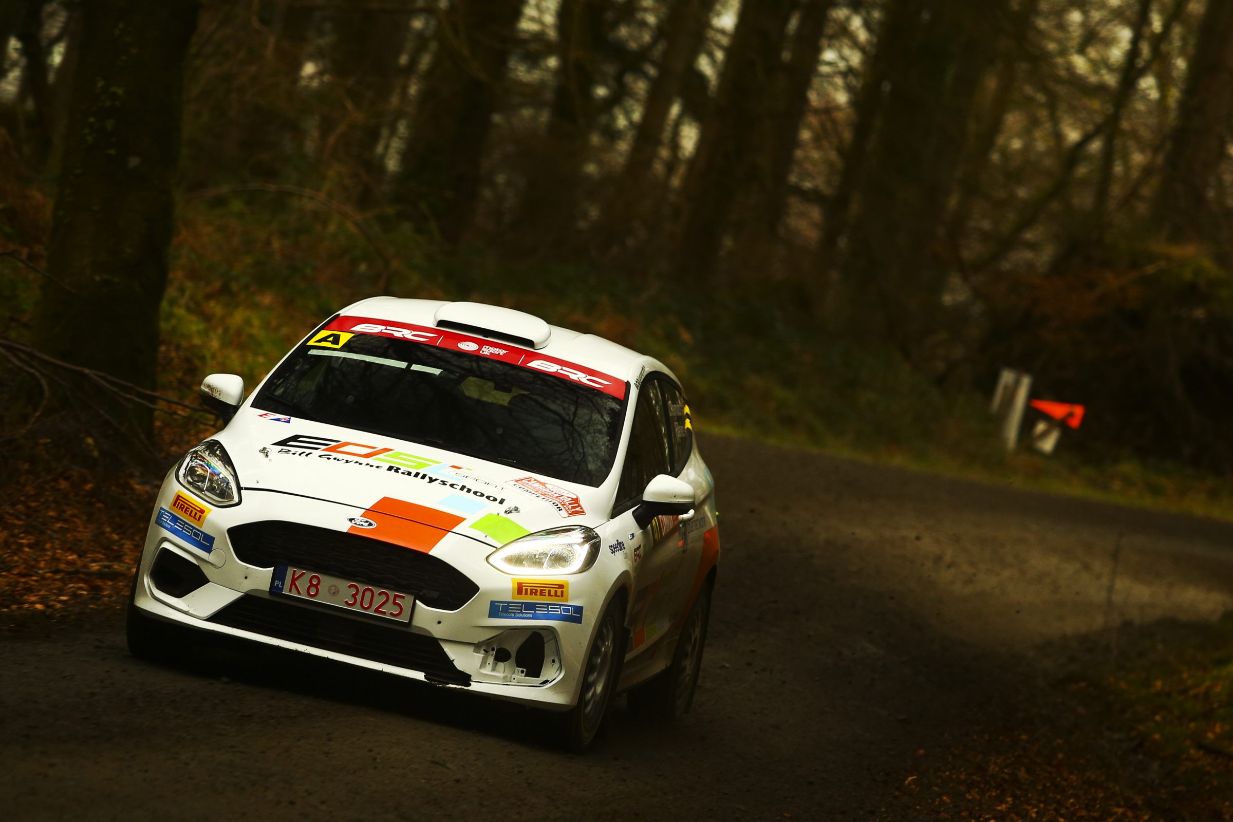 Jordan Reynolds / Peredur Davies Ford Fiesta R2T